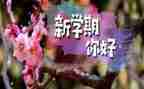 大班下学期配班工作计划6篇