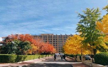 管理学校食堂工作总结5篇