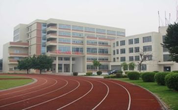 我的学校的作文作文模板8篇