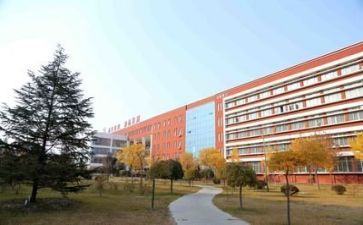 学校开展活动方案6篇