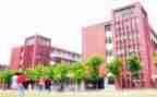 关于学校安全的活动总结6篇