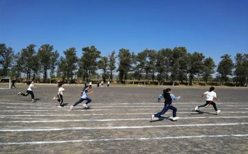 学校体育节活动方案5篇