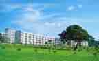 学院青协工作计划模板5篇