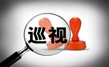 巡查队工作总结5篇
