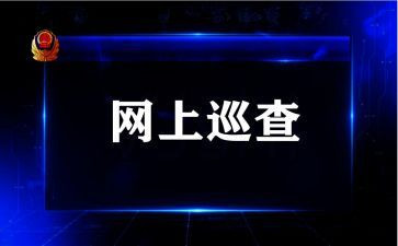 巡查自查报告8篇