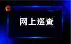巡查自查报告8篇
