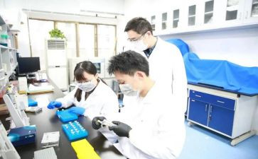 300字研究报告作文参考6篇