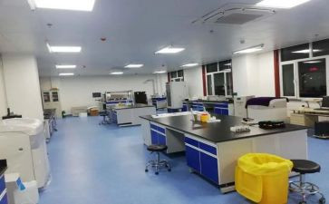 检验科述职报告最新6篇