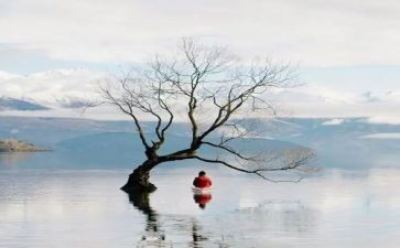 小班树叶船教案精选6篇