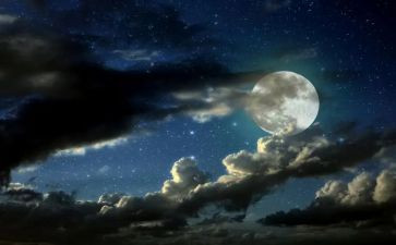 乡村夜晚作文5篇