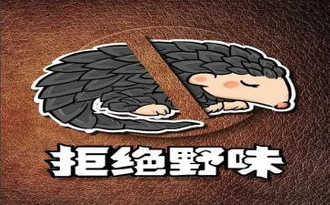 写拒绝野味的演讲稿通用5篇