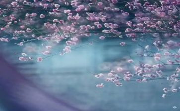 一季的工作总结7篇