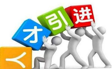引才工作总结报告精选5篇
