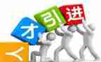 引才工作总结报告精选5篇