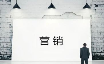 营销活动的总结5篇