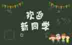 2024年幼儿园迎新活动方案最新5篇