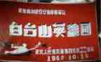 2024我心目中的英雄作文5篇
