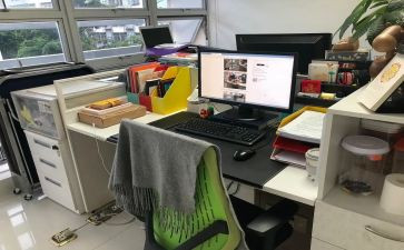 这一年工作总结和计划5篇