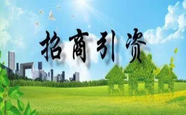 镇招商引资上半年工作总结6篇