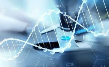 医学生工作总结及工作计划优秀7篇
