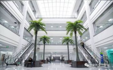 医院工作计划2023模板5篇