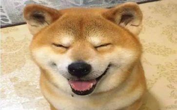 有趣的事优秀作文模板8篇