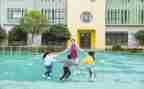 学幼师专业的自我鉴定最新5篇