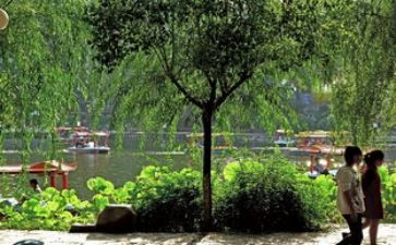 学生游园活动方案7篇