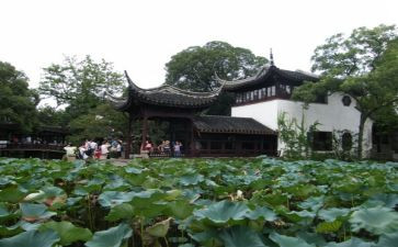 游园活动方案和策划优秀7篇