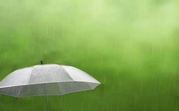 描写雨的作文500字最新8篇