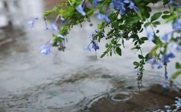诗歌《雨》中班教案优质5篇