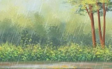 雨中的母爱作文6篇