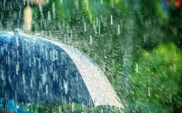 雨中班语言教案精选5篇