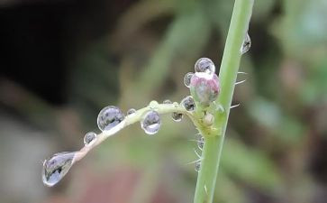 关于暴雨的作文7篇