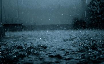 雨中班语言教案最新7篇