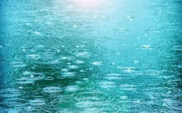 语言下雨啦教案5篇