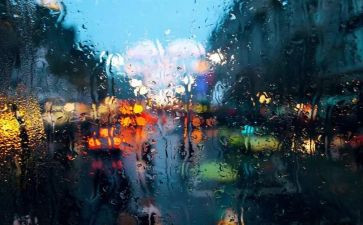 大学生等风等雨心得体会800字优质7篇