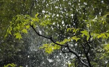春天的雨作文400字模板6篇