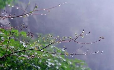 雨中的成长作文600字7篇