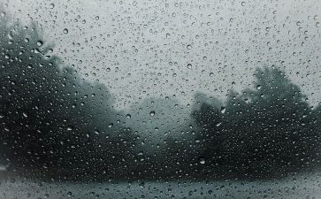 暴雨演讲稿8篇