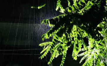 中班雨教案反思7篇