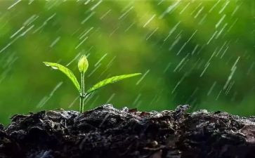 诗歌《雨》中班教案6篇