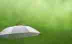 春天的雨作文300字作文5篇