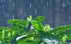 写四季的雨的作文800字5篇