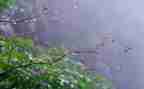 雨中的成长作文600字7篇
