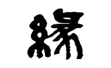 我与__的缘作文优秀5篇
