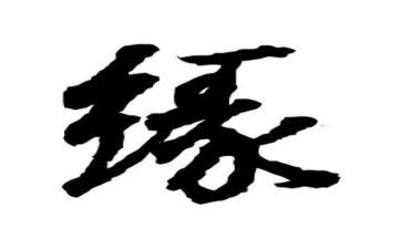 我与__的缘作文通用5篇