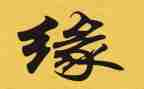 我与__的缘作文8篇