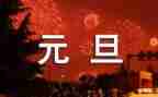 庆元旦的教案优秀6篇