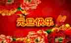 庆元旦的作文450字8篇